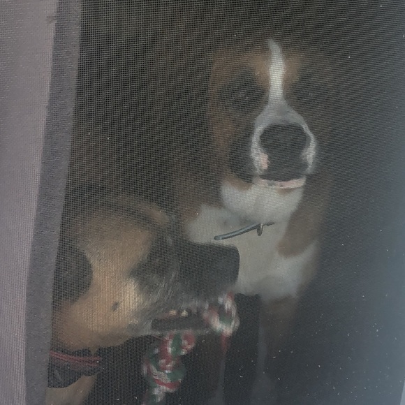 Meet your Posher, Line - Picture 1 of 1